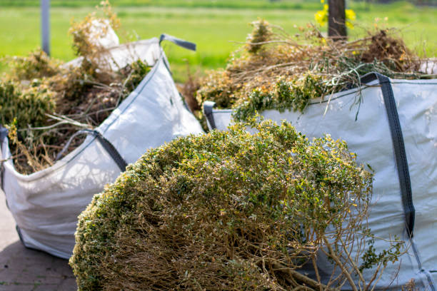 Best Same-Day Junk Removal Services  in Sonterra, TX